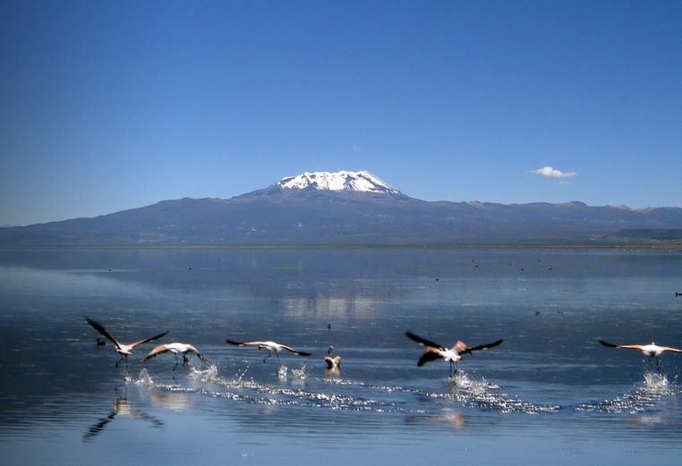 Laguna Parinacochas