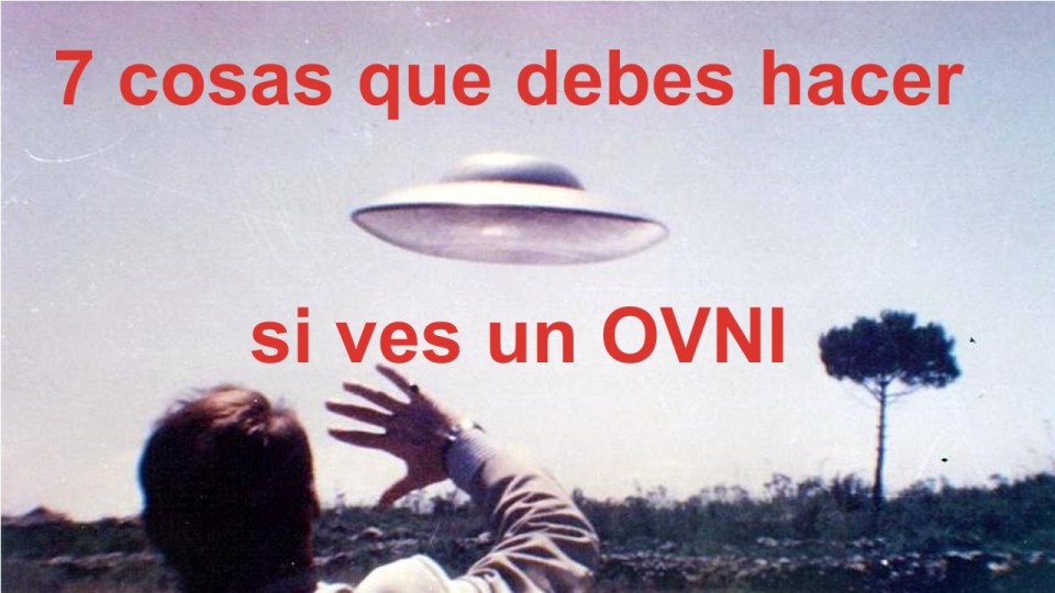 avistamiento